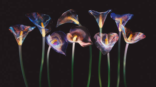 Strange and beautiful flowers