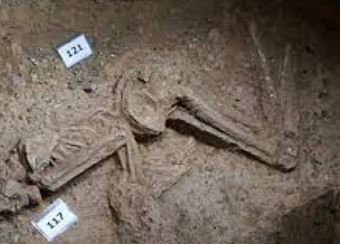 کشف تاریخ گمشده در مرکز تهران کشف تاریخ گمشده