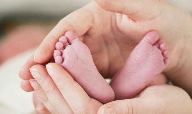 صدور گواهی تولد به صورت الکترونیکی در بیمارستان ها