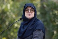 مهاجرانی: سراسر ایران خانه ماست