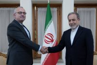 دیدار سفیر جدید ایرلند در ایران با معاون وزیر خارجه در جریان تحکیم روابط دوجانبه
