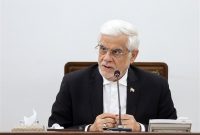عارف: نقش شوراهای عالی در امور اجرایی دانشگاه‌ها نباید دخالت کند